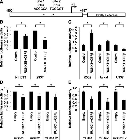 Figure 3. RUNX1 controls transcription of Hmga2 via its promoter in a tissue-specific manner. (A) Diagram of promoter-luciferase construct showing RUNX consensus Sites 1 and 2(*) at bp −363 and −213, respectively. (B) NIH3T3 and 293T cell lines were transfected with the full-length Hmga2 promoter-luciferase construct, and luciferase assays were performed 24 hours after transfection. Coexpression was conducted with an empty expression vector (Control) or RUNX1 and CBFβ expression vectors. Error bars indicate standard deviation and are from at least 3 replicates. (C) K562, Jurkat, and U937 cell lines were transfected with the full-length Hmga2 promoter-luciferase construct, and luciferase assay was performed 24 hours after transfection. Coexpression was conducted with an empty expression vector (Control) or RUNX1 and CBFβ expression vectors. Error bars indicate standard deviation and are from at least 3 replicates. (D) NIH3T3 cells were transfected with promoter-luciferase constructs with Site1, Site2, or both sites mutated. Luciferase assays were performed 24 hours after transfection. Coexpression was conducted with an empty expression vector (Control) or RUNX1 and CBFβ expression vectors. Error bars indicate standard deviation and are from at least 3 replicates. (E) U937 cells were transfected with the constructs indicated in (D) and luciferase assays were performed 24 hours after transfection. Coexpression was conducted with an empty expression vector (Control) or RUNX1 and CBFβ expression vectors. Error bars indicate standard deviation from at least 3 replicates. *P < .05.