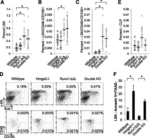 Figure 5. HMGA2 does not modulate the effect of RUNX1 deficiency on HSPC expansion. Percentages of hematopoietic stem cell populations analyzed by flow cytometry, including (A) LSK cells, (B) LT-HSCs, and (C) ST-HSCs. For LSK: wild-type (Hmga2+/+ or Hmga2+/−, Runx1(fl/fl), Mx1Cre–, n = 15), Hmga2−/− (Hmga2−/−, Runx1(fl/fl), Mx1Cre–, n = 9), Runx1Δ/Δ (Hmga2+/+ or Hmga2+/−, Runx1(fl/fl), Mx1Cre+, n = 21), Double KO (Hmga2−/−, Runx1(fl/fl), Mx1Cre+, n = 8). For LT-HSCs and ST-HSCs: wild-type (n = 10), Hmga2−/− (n = 4), Runx1Δ/Δ (n = 10), Double KO (n = 4). (D) Representative flow cytometry gating of LSK and SLAM populations for each of the 4 genotypes of mice and their averages are shown. (E) Percentages of CLP populations were analyzed by flow cytometry. For CLPs: wild-type (n = 5), Hmga2−/− (n = 5), Runx1Δ/Δ (n = 10), Double KO (n = 4). (F) Averages of frequencies of Annexin V–positive/7AAD-negative cells from the LSK cells of each genotype (n = 4 each) are shown. *P < .05.