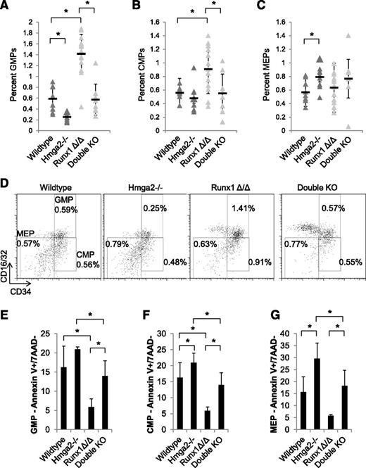 Figure 6. Lack of HMGA2 rescues myeloid progenitor expansion caused by loss of RUNX1. Percentages of hematopoietic stem cell populations analyzed by flow cytometry, including (A) GMPs, (B) CMPs, and (C) MEPs. For myeloid progenitor staining, mice used were: wild-type (Hmga2+/+ or Hmga2+/−, Runx1(fl/fl), Mx1Cre–, n = 9), Hmga2−/− (Hmga2−/−, Runx1(fl/fl), Mx1Cre–, n = 9), Runx1Δ/Δ (Hmga2+/+ or Hmga2+/−, Runx1(fl/fl), Mx1Cre+, n = 14), and Double KO (Hmga2−/−, Runx1(fl/fl), Mx1Cre+, n = 8). (D) Representative flow cytometry gating of GMP, CMP, and MEP populations on each of the 4 genotypes of mice and their averages are shown. (E-G) Averages of frequencies of Annexin V–positive/7AAD-negative cells from the (E) GMP, (F) CMP, and (G) MEP gates of each genotype (n = 4 each) are shown. *P < .05.
