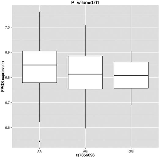 Figure 4. Effect of SNP on FPGS expression in LCLs across 3 African populations (MKK, LWK, and YRI). Effect on expression was evaluated using a linear model with population and rs7856096 (modeled additively) as covariates.