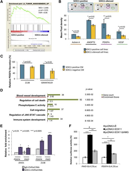 Figure 3. SOX11 binds to regulatory regions of PDGFA and positively regulates its transcription. (A) GSEA analysis on expression data set from SOX11-positive and SOX11-silenced MCL cell lines showing enriched gene sets related to angiogenesis pathways. NES, P-val, and FDR are represented. Statistical significance is considered when FDR < 0.2. (B) Top panel, Image showing human-specific angiogenesis antibody array membranes incubated with protein lysates from Z138 SOX11-positive (n = 2) and SOX11-silenced (n = 2) MCL cell lines. Bottom panel, Quantification of mean pixel density of the proangiogenic factors Activin A, ANGPT2, PDGFA, and VEGF comparing SOX11-positive and SOX11-silenced MCL cell lines. (C) Graph displaying the relative levels of PDGFA secreted by SOX11-positive and SOX11-silenced CM derived from Z138 and GRANTA519 MCL cell lines. Concentration was analyzed by a quantibody human angiogenesis array. Results are shown as relative percentage of PDGFA secretion compared with SOX11-positive CM. (D) Graph displaying the GO term results obtained from DAVID functional annotation tool of the high confidence SOX11-bound genes identified by ChIP-chip experiments (GSE3502).15 The 6 most significant biological process GO terms and their gene count, enrichment score, and P-val are shown. Underlined is the blood vessel development GO biological term. (E) ChIP-qPCR analysis of specific binding of SOX11 to the regulatory regions of PDGFA in JEKO1 and Z138 MCL cell lines. Binding to PAX5 was used as a positive internal control.15 Relative DNA enrichment was measured by qPCR using specific primers for the respective regulatory regions (see “Methods”), and is displayed as fold enrichment relative to their respective input chromatin. Purple bars represent ChIP-qPCR enrichment of the SOX11 pull-down (SOX11-ChIPed DNA) while gray bars represent the negative control (IgG-ChIPed DNA). (F) Luciferase assays in transient cotransfections of PAX5-GL4.23 Luc and PDGFA-GL4.23 Luc with SOX11 full-length (pcDNA3-SOX11) and the truncated SOX11 proteins (pcDNA3-SOX11ΔHMG) expression vectors in HEK293 cells. Results are shown as the percentage of fold induction relative to luciferase activity in cotransfection with the empty vector (pcDNA3-Ǿ). Bar plot represents the mean percentage ± SD of 3 independent experiments. P-val are shown. The significance of difference was determined by independent samples Student t test.
