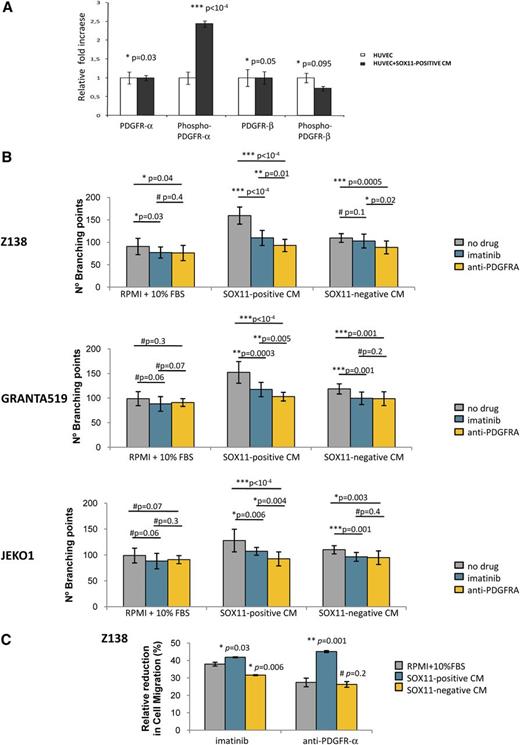 Figure 4. PDGFA inhibition on endothelial cells impairs SOX11-enforced angiogenesis in MCL. (A) Graph showing the relative fold change expression levels of the basal and phosphorylated forms of PDGFRα and PDGFRβ by HUVEC cells upon 3-hour incubation with RPMI + 10% FBS (HUVEC) or Z138 SOX11-positive CM (HUVEC+SOX11-positive CM). Results are shown as fold increase relative to the corresponding expression levels by the HUVECs incubated with RPMI + 10% FBS. (B) Graphs showing number of branching points representing tube formation by HUVECs. HUVECs were pretreated with control PBS (gray), imatinib (blue), or a neutralizing antibody anti-PDGFRα (yellow) for 1 hour, and then incubated for 6 hours with RPMI + 10% FBS, SOX11-positive or SOX11-negative CM from Z138, GRANTA519, and JEKO1 MCL cell lines. (C) Graph displaying the relative perctage reduction in migration of HUVECs. HUVECs were pretreated with control PBS, imatinib, or a neutralizing antibody anti-PDGFRα for 1 hour, and then allowed to migrate toward RPMI + 10% FBS (gray), SOX11-positive CM (blue) or SOX11-negative CM (yellow) from Z138 MCL cell line. Upon overnight incubation, migratory cells were quantified and represented as the percentage of migration HUVECs compared with no drug (control PBS) treatment. Bar plot represents the mean percentage ± SD of 3 independent experiments. P-val are shown. The significance of difference was determined by independent samples Student t test.
