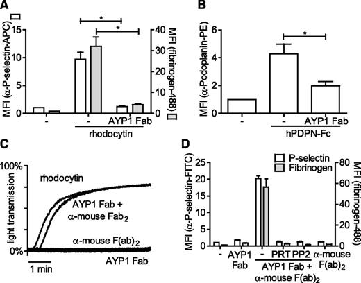 Figure 3. Effect of AYP1 on CLEC-2 signaling. (A-B) Washed platelets were preincubated with 2.5 µg/mL AYP1 Fab fragments for 15 minutes at room temperature and stimulated with (A) 100 nM rhodocytin or (B) 10 µg/mL hPDPN-Fc for 15 minutes at 37°C. (A) Platelet activation by rhodocytin was determined by flow cytometric analysis of P-selectin expression and fibrinogen binding and (B) podoplanin binding using a phycoerythrin-conjugated α-human podoplanin antibody. (C) Aggregation of washed platelets induced by 100 nM rhodocytin or AYP1 Fab (2.5 µg/mL) cross-linked with 20 µg/mL α-mouse Fab-specific F(ab)2 fragments. Single incubation with either AYP1 Fab or α-mouse F(ab)2 fragments did not trigger aggregation. The traces are representative of 3 independent experiments. (D) Flow cytometric analysis of P-selectin expression and fibrinogen binding induced by cross-linking AYP1 Fab. Washed platelets were incubated with AYP1 Fab, α-mouse F(ab)2, or both for 15 minutes at 37°C and immediately analyzed. Preincubation with either the Syk inhibitor PRT-060318 (PRT; 5 µM) or the Src family kinase inhibitor PP2 (20 µM) for 10 minutes at room temperature prevented platelet activation induced by cross-linking AYP1 Fab. Data are presented as the ratio of MFI of treated over control platelets (n = 4).