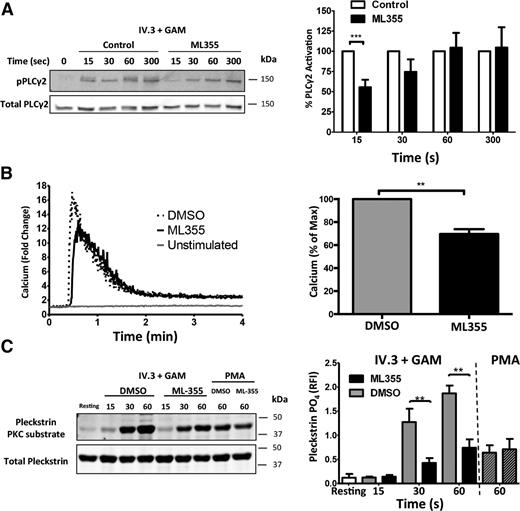 Figure 6. 12-LOX modulates early signaling components of the FcγRIIa pathway in human platelets. Washed human platelets were treated with ML355 (20 μM) or vehicle control prior to stimulation by crosslinking (IV.3 + GAM). (A) A time course of PLCγ2 phosphorylation at site Y759 was assessed by western blot analysis. All samples were normalized to total PLCγ2 and fold changes were quantified relative to the unstimulated condition. The bar graph comprised of n = 7 individuals. (B) Following crosslinking (IV.3 + GAM), calcium mobilization was measured by flow cytometry. Representative curves were quantitated in fold change of free calcium relative to the unstimulated condition over 4 minutes. Bar graphs represent the ratio of the fold change in calcium mobilization (n = 5). (C) N = 7 stimulated human platelets with or without ML355 were analyzed for PKC activity following CD32 crosslinking, and PMA rescue comprised of n = 3. A PKC substrate was blotted as a surrogate for PKC activation and pleckstrin phosphorylation. Data represents mean ± SEM. *P < .05; **P < .01.