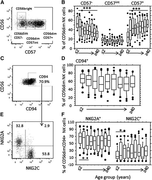 Figure 2. Age-related changes in frequencies of CD57- and c-type lectin-like receptor- expressing NK cell subsets (A). CD56dim cells were gated into CD57−, CD57intermediate, and CD57+ subsets. The CD57− population was gated using an isotype-matched control reagent, and the CD57+ gate was set at an MFI of 3000. (B) Frequency distribution by age group of CD57−, CD57int, and CD57+ subsets within the CD56dim NK cell population. Asterisks denote statistically significant trends for changes in NK cell subset frequency by age (***P < .001, F-test). (C) Gating strategy for CD94+ cells and (E) CD94 NKG2A+ and CD94+NKG2C+ cells within the CD56dim NK cell subset. (D) Frequencies of CD94+ and (F) NKG2A+, and NKG2C+ NK cells by age group. Asterisks denote statistically significant differences in frequencies of NKG2A+ and NKG2C+ cells by age group (*P < .05, analysis of variance). Horizontal bars represent median values, boxes extend from the 25th to the 75th percentile, and whiskers represent the 95th percentiles. Age groups are as shown in Figure 1.