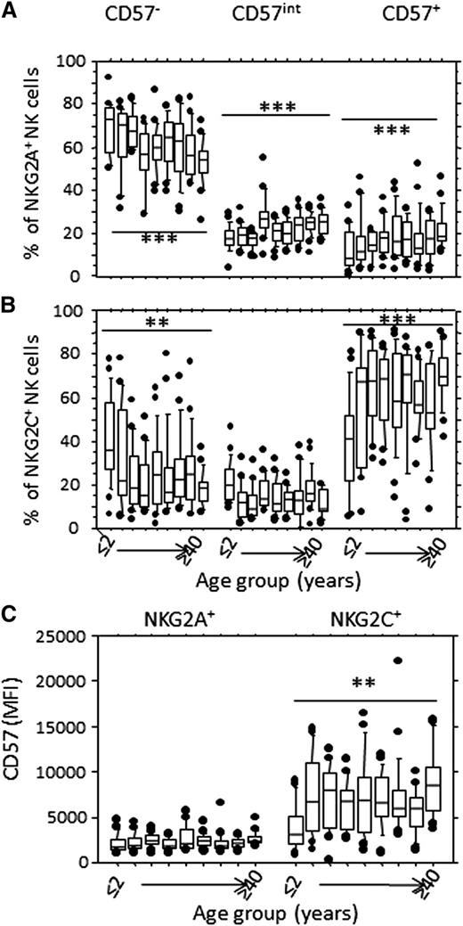 Figure 3. CD57 is preferentially expressed on NKG2C+ NK cells. CD56dim NK cells were gated as in Figure 1A, and the frequency of CD57−, CD57int, and CD57+ cells is shown within (A) CD94/NKG2A+ or (B) CD94/NKG2C+ NK cells, by age group. (C) MFI for CD57 expression on NKG2A+ and NKG2C+ NK cells by age group. Horizontal bars represent median values, boxes extend from the 25th to the 75th percentile, and whiskers represent the 95th percentiles. Asterisks denote statistically significant trends by age within each subset (**P < .01; ***P < .001, F-test). Age groups are as shown in Figure 1.