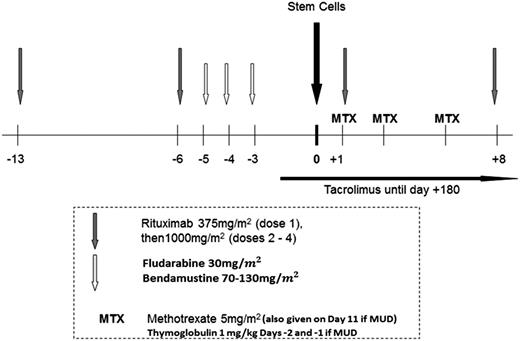 Figure 1. Treatment schema of bendamustine, fludarabine, and rituximab (rituximab was omitted in patients with T-cell lymphoma).