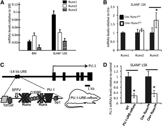Figure 1. Runx factors mediate PU.1 transcription in HSCs through binding sites at the −14kb URE. (A) mRNA levels of indicated Runx genes in unselected whole bone marrow (BM) cells and isolated SLAM+ LSK cells (HSC-enriched population). Shown are average levels + standard deviation (SD); n = 7 (B) mRNA levels of indicated Runx genes after CRE-induced Runx1 deletion in SLAM+ LSK cells. Shown are average levels ± SD. n = 4; *P < .05. (C) Simplified scheme of murine PU.1 locus indicating the 3 Runx binding sites, all of which have been selectively mutated from TGTGGTA to TGACCTA in the knockin mouse model PU.1-URE-mRunx. (D) PU.1 mRNA levels in SLAM+ LSK cells of PU.1-URE-mRunx and Runx1-deleted mice compared with control. Shown are average levels ± SD. n = 4; *P < .05.