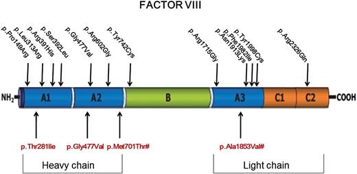 Figure 1. Factor VIII missense mutations in MHA consistently associated with poor response (upper part of figure; FVIII postadministration <30 U/dL) or short FVIII half-life (lower part of figure; <3 hours) after desmopressin. #Mutations associated with dysfunctional protein.