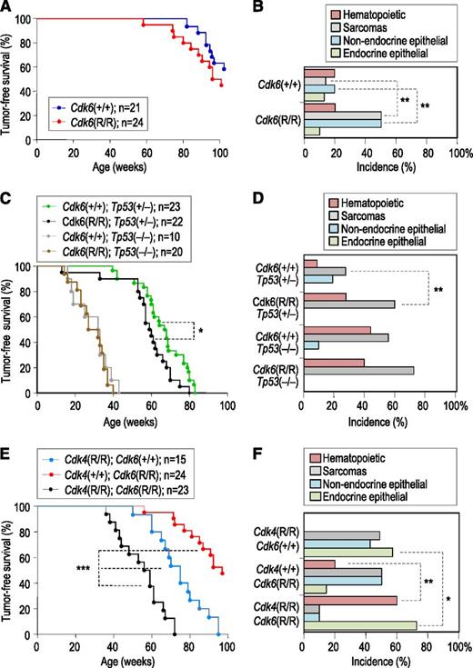 Figure 1. Genetic analysis of Cdk6 R31C mice. (A) Tumor-free survival of wild-type and Cdk6R/R mice. (B) Incidence of tumors in the indicated genotypes. (C) Tumor-free survival of Cdk6 R31C mice in p53-heterozygous or null backgrounds. (D) Incidence of tumors of different origins in the indicated genotypes. The presence of the Cdk6 R31C allele results in increased incidence of sarcomas and hematopoietic tumors only in a p53-heterozygous background. See supplemental Table 1 for details. (E) Tumor-free survival of Cdk4R/R; Cdk6R/R or double Cdk4R/R; Cdk6R/R mutant mice. (F) Tumor distribution in mutant mice with the indicated genotypes. See Table 1 for details. Long-rank test; *P < .05; **P < .01; ***P < .001.