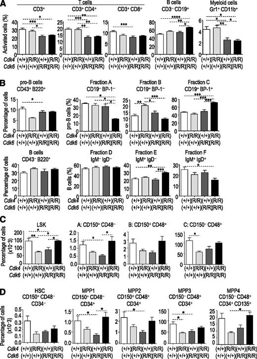 Figure 2. Altered hematopoiesis in Cdk4 R24C and Cdk6 R31C mice. (A) Analysis of B-, T-, and myeloid cells in the spleen (n = 5 per genotype). (B) Analysis of B-cell development in the bone marrow determining Hardy fractions. (C) Analysis of the LSK fraction in the bone marrow. (D) Analysis of HSCs and multipotent progenitor cells (MPPs). For all experiments described in panels c-d, 5 Cdk4R/R single-mutant mice, 7 Cdk6R/R single mutants and wild-type mice, and 5 double-mutant mice were analyzed and compared. All data are given as the percentage of living cells. Significant differences are indicated as follows: *P < .05; **P < .01; ***P < .001. One-way ANOVA including Bonferroni’s multiple comparison test.