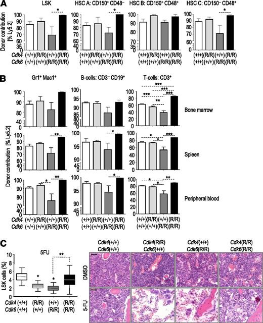 Figure 3. The Cdk4 R24C allele rescues defective progenitor potential in Cdk6 R31C mice. (A) Analysis of the donor cells’ contribution within the LSK fraction 16 weeks after bone marrow transplantation (n = 5 for wild-type, Cdk4R/R or Cdk6R/R single mutants; n = 4 double-mutant mice). (B) Analysis of the donor contribution to individual lineages in bone marrow, spleen, and peripheral blood (n = 5 for wild-type, Cdk4R/R or Cdk6R/R single mutants; n = 4 double-mutant mice). (C) Analysis of bone marrow repopulation after 5-FU treatment. Flow cytometry analysis of hematopoietic progenitors (LSK cells) 7 days after treatment with 5-FU (n = 3 Cdk4R/R or Cdk6R/R single mutants; n = 6 wild-type mice; n = 7 double-mutant mice). Representative hematoxylin and eosin images of the bone marrow from untreated mice or mice treated with 5-FU mice are included. DMSO, dimethylsulfoxide. Scale bars, 50 μm. *P < .05; **P < .01; ***P < .001. 1-way ANOVA including Bonferroni’s multiple comparison test.