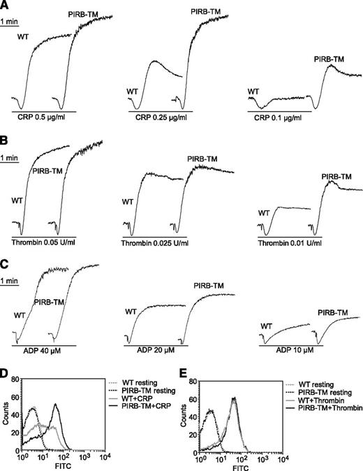 Figure 2. The function of PIRB in platelet aggregation and secretion. (A-C) Aggregation of washed WT and PIRB-TM platelets was studied by aggregometery in response to agonists as indicated. (D-E) Washed WT and PIRB-TM platelets at a concentration of 3 × 107/mL were incubated with FITC-conjugated rat anti-mouse CD62P monoclonal antibody at 25°C for 20 minutes in the presence of (D) 0.5 μg/mL CRP or (E) 0.05 U/mL thrombin. The expression of CD62P was analyzed using a flow cytometer.