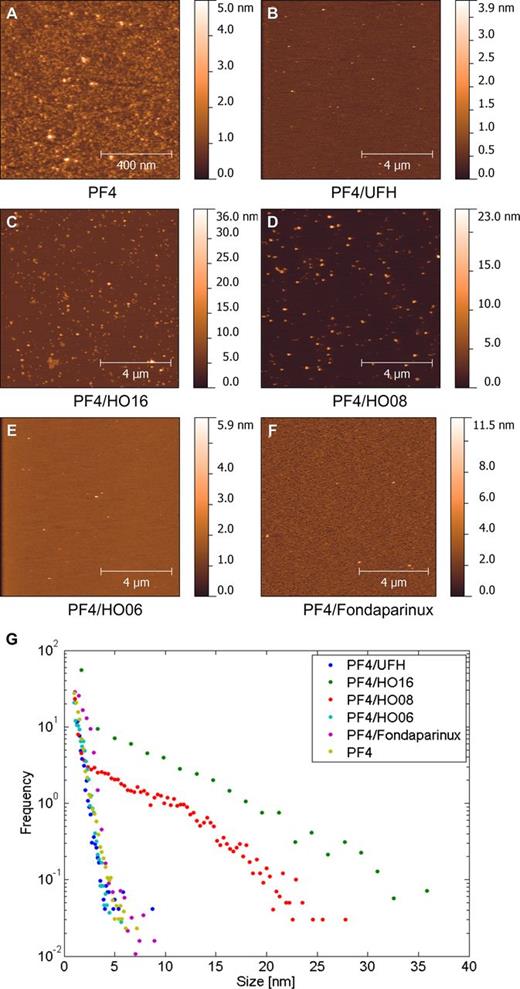 Figure 2. Assessment of PF4/heparin complexes by AFM. Representative liquid AFM tapping mode images of (A) PF4 alone and (B) PF4/UFH, (C) PF4/HO16, (D) PF4/HO08, (E) PF4/HO06, and (F) PF4/fondaparinux complexes on mica; the corresponding height histograms derived from all experiments are shown in G.