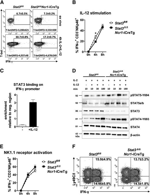 Figure 4. STAT3 regulates NK cell–dependent IFN-γ production by directly binding to the IFN-γ promoter. (A) Splenocytes from Stat3fl/fl and Stat3Δ/ΔNcr1-iCreTg mice were analyzed directly ex vivo or after 4 hours stimulation with IL-2 + IL-12. Cells were stained for CD3 and NKp46 (CD3−NKp46+) followed by fixation, permeabilization, and intracellular staining of T-bet and IFN-γ. Levels were analyzed by flow cytometry. % IFN-γ+ NK cells and mean fluorescence intensities (MFI) of T-bet are depicted in representative FACS plots. Statistics are included in supplemental Figure 4D. (B) Splenocytes from Stat3fl/fl and Stat3Δ/ΔNcr1-iCreTg mice were analyzed directly ex vivo or after stimulation for 4 or 8 hours with IL-2 + IL-12. Intracellular IFN-γ expression of NK cells were analyzed by flow cytometry. Stat3Δ/ΔNcr1-iCreTg NK cells show a decreased IFN-γ production after 4 hours that is no longer detectable after 8 hours. Data represent mean ± SEM of 3 independent experiments (n ≥ 13 in total). (C) Primary IL-2 cultured NK cells were stimulated for 30 minutes with IL-2 or IL-2 + IL-12. The reaction was stopped by addition of formaldehyde. Chromatin immunoprecipitation was performed using an anti-STAT3 antibody and n-fold enrichment was calculated relative to the expression of a negative region (“CD19 down”). (D) NK cells of Stat3fl/fl and Stat3Δ/ΔNcr1-iCreTg mice were MACS-purified and FACS-sorted (CD3−NK1.1+) and stimulated with IL-2 and IL-12 for the indicated time. Cell lysates were used for western blot analysis of pSTAT5-Y694, STAT5a/b, STAT3, pSTAT4-Y693, and STAT4. β-actin was used as loading control. Stat3Δ/ΔNcr1-iCreTg NK cells show an increase in STAT4 and STAT5 activation compared with Stat3fl/fl controls. (E) Splenocytes from Stat3fl/fl and Stat3Δ/ΔNcr1-iCreTg mice were stimulated with anti-NK1.1 (PK136) for 4 or 8 hours before staining for CD3 and NKp46 (CD3−NKp46+) followed by fixation, permeabilization, and intracellular staining and detection of IFN-γ expression by flow cytometry. (F) Splenocytes from Stat3fl/fl and Stat3Δ/ΔNcr1-iCreTg mice were stimulated with anti-NK1.1 (PK136) for 6 hours before staining for CD3, NKp46, and Ly49C/I. Cells were fixed and permeabilized, and the intracellular IFN-γ expression of the Ly49C/I negative and positive NK cell fraction (CD3−NKp46+ cells) was analyzed. Statistics are included in supplemental Figure 4A.