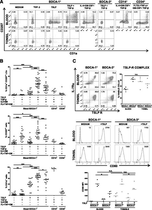 Figure 2. TSLP and TGF-β induce the differentiation of blood BDCA-1+ DCs into LCs. (A) Representative flow cytometry density dot plots of CD207 and CD1a surface expression by human blood and tonsillar BDCA-1+ and BDCA-3+ DCs after 24-hour treatment with and without TSLP and TGF-β. Blood CD14+ monocyte-derived LCs after treatment with GM-CSF, IL-4, and TGF-β and CD34+ hematopoietic progenitor-derived LCs after treatment with Flt3-L, TNF-α, GM-CSF, and TGF-β are shown as positive controls of the staining. Quadrants were adjusted to the matching correspondent isotype controls. Numbers represent the percentage of viable cells. (B) Quantification of CD207+, CD1a+, and CD1a+CD207+ cells for all the conditions. Data are presented as percentage of viable cells. Blood CD14+ monocytes were treated with IL-4, GM-CSF (IL4+GM), and TGF-β; CD34+ hematopoietic progenitors were treated with Flt3-L, TNF-α, GM-CSF (FL+TNF+GM), and TGF-β. Each dot represents an independent experiment. *P ≤ .05; **P ≤ .005; ***P ≤ .0005, Wilcoxon nonparametric paired test. Bars represent medians. (C) (Upper) Representative flow cytometry density plots of TSLP receptor and IL-7 receptor α chains by human blood and tonsillar BDCA-1+ and BDCA-3+ DCs. Quadrants were adjusted to the matching correspondent isotype controls. Numbers represent the percentage of viable cells. (Right) Percentage of viable cells expressing both chains of TSLP receptor. Each symbol corresponds to 1 donor. (Lower) Representative histograms of CD80 expression by human blood and tonsillar BDCA-1+ and BDCA-3+ DCs after 24-hour culture with and without TSLP. Plain histograms represent the matching correspondent isotype controls and numbers represent specific median fluorescence intensities (MFIs). Below, quantification of MFIs for CD80 for 4 independent donors. Paired Student t test was used: *P ≤ .05; **P ≤ .005.