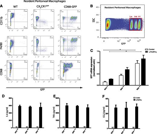 Figure 5. Resident peritoneal macrophages from CD68-GFP mice express high levels of GFP. (A) Flow cytometry analysis of resident peritoneal macrophages isolated from CD68-GFP mice revealed 3 distinct populations with different levels of GFP expression. These 3 populations were positive for CD11b, F4/80, and CD68 (myeloid/macrophage markers). In contrast, resident peritoneal macrophages isolated from CX3CR1GFP mice displayed no GFP expression, although they were positive for CD11b, F4/80, and CD68. (Representative flow cytometry plots are shown; analysis was carried out in 5 to 8 mice.) (B) Three GFP resident macrophages populations (GFPhi, int, lo) from a pool of 10 CD68-GFP mice were sorted on the basis of GFP expression. (C) Total RNA was isolated, and quantitative RT-PCR was carried out to measure GFP mRNA expression in control cells and cells featuring LPS and interferon-γ. (D-F) Cytokine and chemokine levels were measured in LPS/interferon-γ–stimulated supernatants. (D) IL-6 (E) tumor necrosis factor-α (TNF-α), and (F) CCL2 levels showed no difference across all 3 populations. Data are mean ± SEM of 3 independent experiments, with 3 technical replicates per experiment. Statistical significance was assessed by 1-way analysis of variance and Dunnett’s multiple comparison posttest. ND, not detectable.