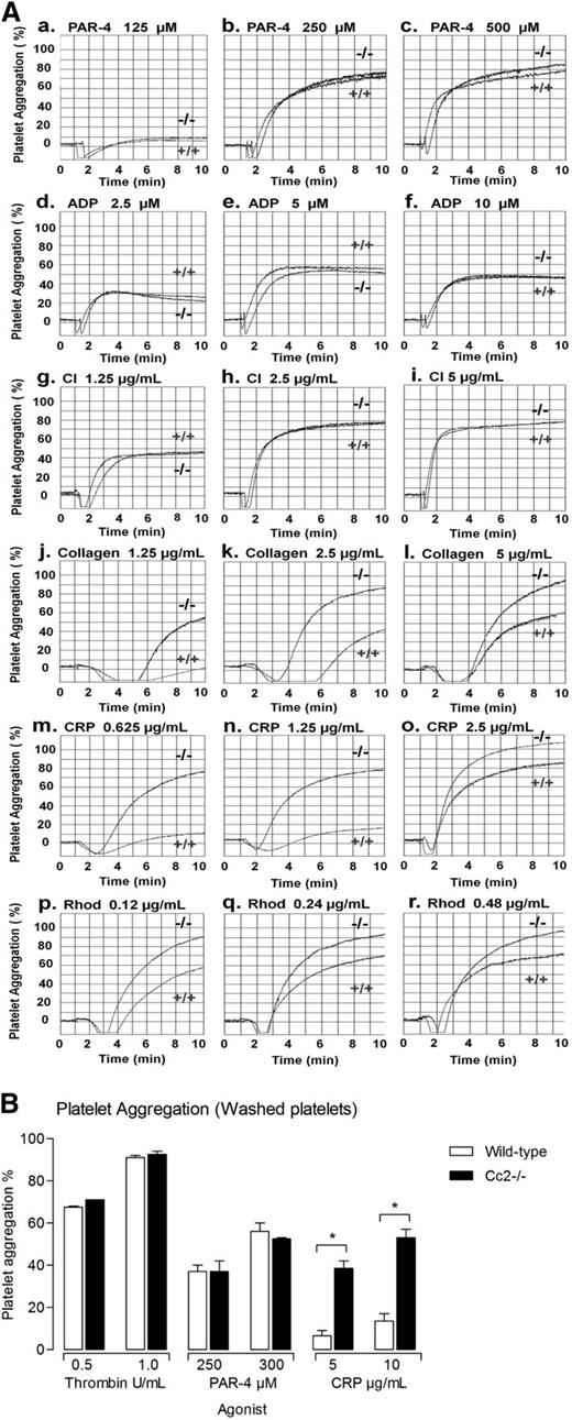 Figure 2. Cc2−/− platelets are hyperresponsive to stimulation with type I collagen, GPVI, and CLEC-2–selective agonists, CRP and Rhod. (A) Aggregation responses of PRP (platelet count adjusted to 1 × 108/mL) for wild-type (+/+) and Cc2−/− mice were determined after stimulation with the following agonists: (a-c) PAR-4 agonist peptide (125-500 µM); (d-f) ADP (2.5-10 µM); (g-i) calcium ionophore (1.25-5 µg/mL); (j-l) type I collagen (1.25-5 µg/mL); (m-o) CRP (0.625-2.5 µg/mL); and (p-r) Rhod (0.12-0.48 µg/mL). Note that Cc2−/− platelets are hyperresponsive to stimulation by type I collagen, GPVI, and CLEC-2–selective agonists, CRP and Rhod. These data are representative of at least 4 independent experiments performed. (B) Aggregation responses of washed platelets for wild-type and Cc2−/− mice were determined after stimulation with the following agonists: thrombin (0.25-1 U/mL), PAR-4 agonist peptide (250-500 µM), and CRP (5-10 µg/mL). Note that Cc2−/− platelets are hyperresponsive to stimulation by GPVI-selective agonist, CRP.