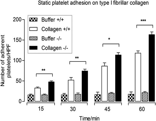 Figure 4. Cc2−/− platelets display enhanced static adhesion on immobilized type I collagen. Time course of wild-type and Cc2−/− platelet adhesion to either buffer control or type I collagen (50 µg/mL) in the absence of magnesium for 15, 30, 45, and 60 minutes at 37°C. Nonadherent platelets were removed and adherent platelets were measured as described in Materials and methods. The data represent 4 independent experiments. Note that Cc2−/− platelets show a higher level of platelet adhesion to type I fibrillar collagen than wild-type platelets (+/+) at all time points (*P < .05, **P < .01, ***P < .001; n = 4).