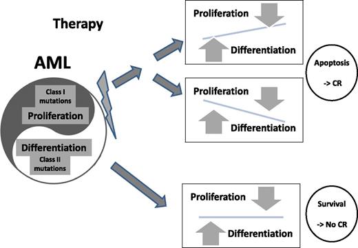 AML cells maintain a pathological homeostasis between aberrant proliferation and differentiation signals. When chemotherapy is administered, multiple signal pathways are affected. Apoptosis and, as a result, desired clinical response are induced in cases where the above-mentioned balance is impaired in either direction (upper panels). In cases illustrated in the lower panel, both signals are derived from powerful genetic aberrations and balance is maintained despite chemotherapy-induced stress resulting in the survival of the leukemic cells.