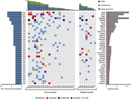 Figure 2. Top list of somatic mutation targets in Chinese DLBCL. Genes affected by nonsilent mutations in at least 3 DLBCL samples (10% of cases) and considered to be significantly mutated by cancer gene prediction33 are displayed.