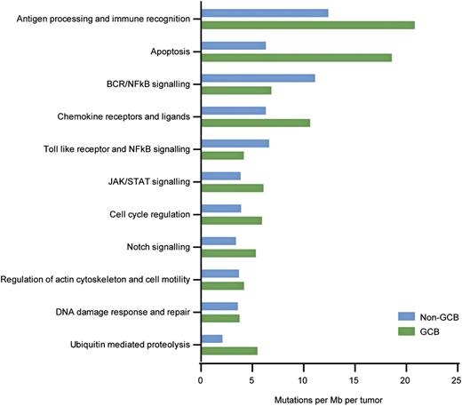 Figure 3. Pathways most frequently affected by somatic mutations in Chinese DLBCL. Mutation rates were calculated by dividing the total number of mutations encountered in a pathway by the size of coding regions of all genes belonging to that gene set and the number of tumors sequenced (n = 31).