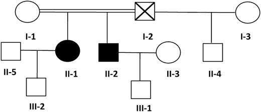 Figure 1. Family tree. Circles, females; squares, males; black filled symbols, affected individuals; white symbols, nonaffected individuals; symbol with a diagonal line, deceased individual; double horizontal line, consanguinity.