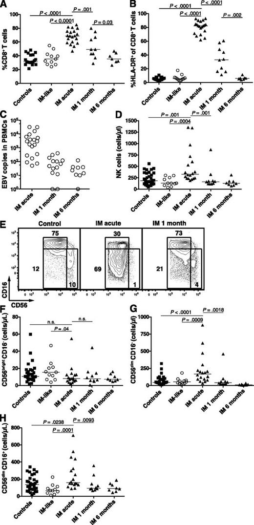Figure 1. Accumulation of activated HLA-DR+ CD8+ T cells and CD56dim NK cells during acute IM. PBMCs from healthy controls, IM-like patients, and IM patients at acute phase (IM acute), at 1 (IM 1 month), and 6 months (IM 6 months) were analyzed by flow cytometry. Frequencies of (A) CD8+ T cells within the CD3+ T-cell population and (B) HLA-DR+ CD8+ T cells within the CD8+ T-cell population in healthy controls (n = 19), IM-like (n = 11), and IM acute (n = 20), 1-month (n = 10) and 6-month (n = 7) patients. (C) EBV DNA load in copies per 106 PBMCs in IM-acute (n = 19), 1-month (n = 14), and 6-month (n = 9) patients. Counts (cells/µL blood) of total NK cells (D) and frequencies of CD56bright CD16−, CD56dim CD16−, and CD56dim CD16+ NK-cell subsets within the CD3− CD56+ NK-cell population from representative healthy control, IM-acute and 1-month patient (E). Counts (cells/µL blood) of (F) CD56bright CD16−, (G) CD56dim CD16−, and (H) CD56dim CD16+ NK cells in healthy controls (n = 31), IM-like patients (n = 11), and IM-acute (n = 18), 1-month (n = 10), and 6-month (n = 8) patients.