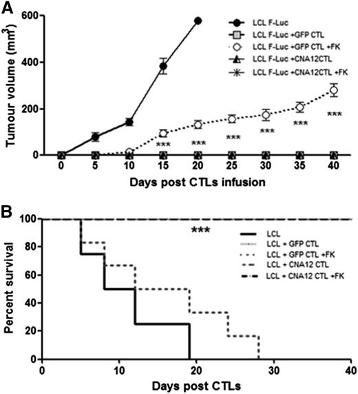 Figure 5. Adoptive transfer of CN-resistant EBV-CTLs induces reduction in tumor growth and improves survival of the mice despite the presence of ongoing immunosuppression. (A) Tumor volume (mm3) was decreased in tumor-bearing NSG mice adoptively transferred with CNA12-CTLs, CNA12-CTL +FK506, and eGFP-CTLs compared with the mice receiving eGFP-CTL + FK506 (n = 8). (B) The Kaplan-Meier tumor-related survival curve showed increased long-term survival of mice adoptively transferred with CNA12-CTLs in the presence of FK506 (P < .0001) compared with mice receiving eGFP-CTLs in the presence of immunosuppression (n = 7).