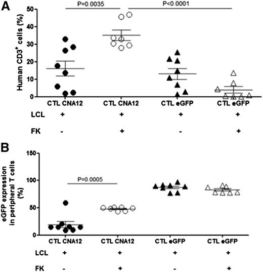 Figure 6. EBV-CTLs genetically engineered to express CNA12 showed improved expansion and persistence in vivo in the presence of FK506. (A) Persistence in vivo of genetically engineered human EBV-CTLs transduced with CNA12 or eGFP. Peripheral tail vein blood was collected from mice the day of sacrifice (40 days after CTL infusion) and quantified by flow cytometry for the persistence of human CD3+. Mean cell count ± SEM is shown (n = 8). (B) eGFP expression on human CD3+ T cells from the peripheral blood of treated mice measured by flow cytometry. Mean eGFP+ expression frequency ± SEM per group is shown (n = 8).