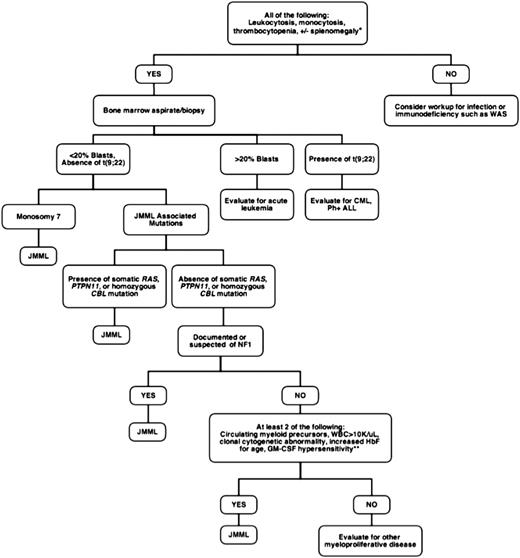 Figure 1. Diagnostic approach to suspected JMML. *Approximately 7% to 10% of JMML patients will not present with splenomegaly, although virtually all will develop splenomegaly within weeks to months of initial presentation. The mean age at diagnosis of JMML is 1.8 years, so that when encountering adolescents, alternative diagnoses such as chronic myelomonocytic leukemia should be considered. **GM-CSF in methylcellulose assays is not currently available in a Clinical Laboratory Improvement Amendments-approved setting. WAS, Wiskott-Aldrich syndrome; CML, chronic myelogenous leukemia; Ph+ ALL, Philadelphia-positive acute lymphoblastic leukemia; NF1, neurofibromatosis type 1.
