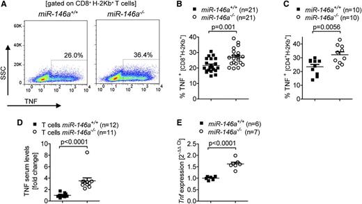 Figure 3. TNF levels are increased in miR-146a–deficient T cells. (A-C) The amount of intracellular TNF in miR-146a−/− or miR-146a+/+ CD8+ T cells isolated from allo-HCT recipients on (A-B) day 7 or (C) day 3 is shown. (A) Representative flow cytometry plot gated on CD8+H-2Kb+ T cells. (B) Pooled data from 3 independent transplantation experiments. (C) Pooled data from 2 independent transplantation experiments. (D) TNF levels were measured in the serum of allo-HCT recipient mice receiving T cells from miR-146a−/− or miR-146a+/+ mice on day 7 after transplantation. Data were pooled from 2 independent experiments. (E) CD4+/CD8+ T cells from miR-146a−/− or miR-146a+/+ mice were isolated after 48 hours of stimulation with allogeneic BMDCs (BALB/c) in vitro and reached a purity of >85%. RNA was isolated from purified T cells and Tnf expression was analyzed by qRT-PCR.