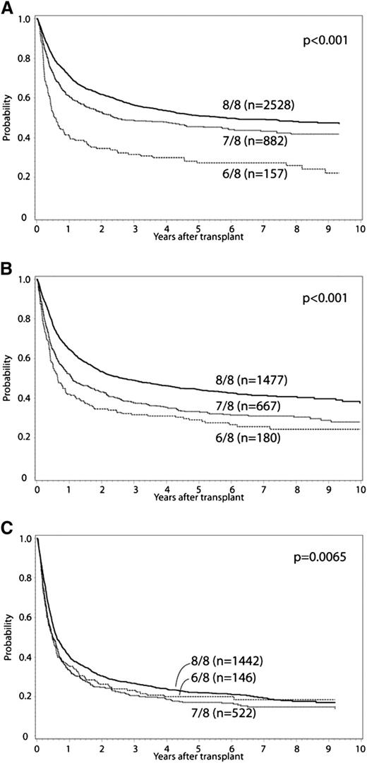 Figure 1. Adjusted OS curves stratified for 8/8, 7/8, and 6/8 separately. (A) early, (B) intermediate, and (C) advanced disease.