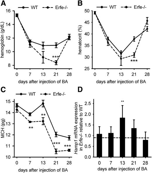 Figure 2. Erfe-deficient mice exhibited a more severe AI than WT mice. Hemoglobin (A), hematocrit (B), and MCH (C) were compared between WT and Erfe-deficient mice at t = 0, 7, 13, 21, and 28 days after injection of BA. Erfe−/− mice had lower hemoglobin concentration and lower hematocrit on day 21 than WT mice. MCH was also lower at days 7, 13, 21, and 28 in Erfe−/− mice compared with WT mice. Erfe-deficient mice had higher hepcidin levels 13 days after injection of BA compared with WT mice (D) (see also supplemental Figure 3A). Expression ratios ± SEM of Rpl4-normalized Hamp transcripts in Erfe−/− mice relative to WT controls were calculated using REST. Statistical significance was determined using randomization. Data shown for hemoglobin, hematocrit, and MCH are means ± SEM and were compared between WT and Erfe−/− mice (n = 6-7 per time point) by 2-tailed Student t test at each time point (***P < .001, **P < .01, *P < .05).