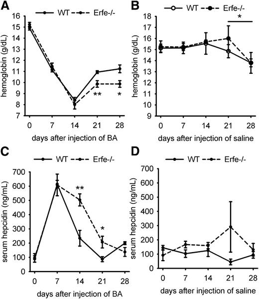 Figure 3. Time course of hemoglobin and serum hepcidin concentrations after saline or BA injection in WT and Erfe-deficient mice. Erfe−/− mice had lower hemoglobin concentration than WT mice at 21 and 28 days after injection of BA (A). Repetitive phlebotomies caused a slight decrease in hemoglobin by 28 days in both WT and Erfe−/− mice treated with saline (B). Serum hepcidin concentration was higher on days 14 and 21 after BA injection in Erfe−/− mice compared with WT mice (C) but was unchanged in saline-injected mice (D). Data shown are means ± SEM and were compared for each time point between WT and Erfe−/− mice (n = 6 per time point) by 2-tailed Student t test (**P < .01, *P < .05).