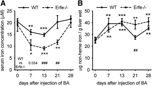 Figure 4. Serum and liver iron concentrations in WT and Erfe-deficient mice after injection of BA. Serum iron concentration was decreased between days 0 and 13 after injection of BA in WT and Erfe−/− mice and was still reduced on day 21 in Erfe−/− mice. Compared with WT mice, Erfe-deficient mice exhibited significantly lower serum iron concentrations on days 13 and 21 (A). Liver iron content (B) was increased during recovery from anemia in WT and Erfe-deficient mice except for WT mice at day 21, where iron levels are similar to day 0. Compared with WT mice, liver iron content was significantly higher in Erfe−/− mice 21 days after infection. Data shown for serum iron concentration (A) and liver iron content (B) are means ± SEM and were compared for each time point to values for control mice at t = 0 (n = 6-7 per time point) by 2-tailed Student t test (***P < .001, **P < .01, *P < .05). Values were also compared at each time point between WT and Erfe−/− mice by 2-tailed Student t test (###P < .001, ##P < .01).