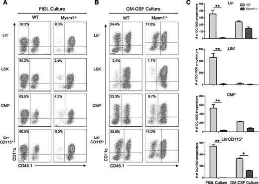 Figure 4. Mysm1−/− DC progenitors fail to differentiate into DC with Flt3L in vitro stimulation. DC progenitor cells Lin−LSKs (Lin−Sca1+cKit+), Lin−CD115+, and CMPs (Lin−IL7R−Sca1−c-Kit+CD34+CD16/32int) were isolated from WT or Mysm1−/− BM by FACS sorter and 10 000 progenitor cells were cultured with 1.5 × 105 CD45.1 BM feeder cells in the presence of Flt3L (100 ng/mL) (A) or GM-CSF (20 ng/mL) and IL-4 (20 ng/mL) (B) in a 96-well plate for 8 days. Cells were harvested and analyzed by FACS for DC differentiation (CD11c+ CD45.1−). (C) The number of DCs (CD11c+ CD45.1−) generated from 1000 progenitors of each culture was calculated and presented as an average from 2 to 3 wells. The experiments were repeated 3 times with similar results. *P < .05; **P < .001.