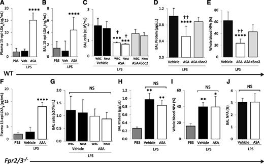 Figure 4. Blocking the lipoxin receptor reverses ASA protective effects. (A) 15-Epi-LXA4 levels in plasma and (B) cell-free BAL of WT mice challenged with PBS or LPS + ASA vs vehicle (DMSO). ****P < .001 vs PBS and vehicle groups. (C) BAL WBC and neutrophil counts, (D) BAL cell-free total protein, and (E) whole blood NPAs in WT mice challenged with LPS + ASA vs vehicle or ASA + Boc2. ***P < .001 and ****P < .0001 vs vehicle groups, respectively. †P < .05 and ††P < .01 vs ASA + Boc2 groups, respectively. (F) 15-Epi-LXA4 levels in plasma of Fpr2/3−/− mice challenged with PBS or LPS + ASA vs vehicle (DMSO). ****P < .0001 vs PBS and vehicle groups. (G) BAL WBC and neutrophil counts, (H) BAL cell-free total protein, (I) NPAs in whole blood, and (J) NPAs in BAL cells of Fpr2/3−/− mice challenged with PBS or LPS + ASA vs vehicle. *P < .05, **P < .01 vs PBS. NS, not significant. Data are mean ± SD of 5 to 7 animals per group.