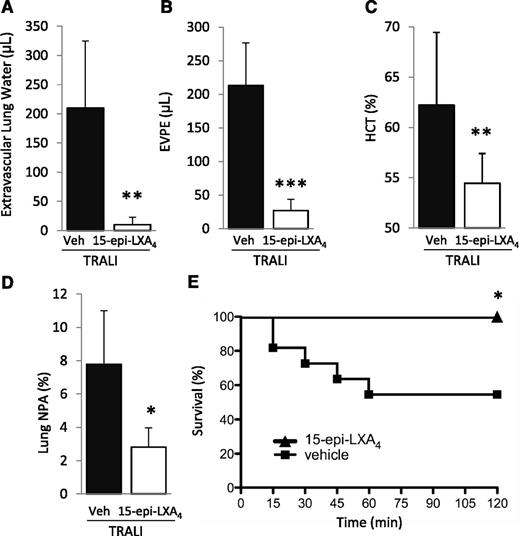 Figure 7. 15-Epi-LXA4 protects mice from TRALI. (A) Extravascular lung water, (B) EVPE, (C) NPAs in the lung digestion and (D) hematocrit in WT mice with TRALI + 15-epi-LXA4 vs vehicle. *P < .05, **P < .01, and ***P < .001 vs vehicle groups. (E) Survival curves in mice with TRALI +15-epi-LXA4 vs vehicle. *P < .05 vs vehicle group. Data are mean ± SD of 10 animals per group.