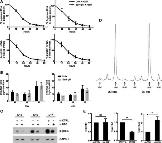 Figure 1. Sal does not change mRNA stability, mRNA cellular localization, or total HbA to induce HbF. (A) Neither γ-globin nor β-globin relative mRNA half-life is changed in cells treated with Sal in combination with 5 μg/mL actinomycin D (Act D) versus actinomycin D alone. Expression is reported as fold change relative to the untreated control (Untx) on day 15 prior to treatment. Actinomycin D and 6 μM Sal were simultaneously applied on day 15. mRNA expression was quantified by using primers located at either the 5′ or 3′ end of each mRNA. Error bars represent ± standard error of the mean (SEM) of 3 independent experiments. (B) Sal does not change the cytoplasmic (Cyto):nuclear (Nuc) ratio of γ- or β-globin mRNA compared with the untreated control. Cells were treated with 6 μM Sal on days 15 and 18. Cytoplasmic and nuclear RNA were isolated on days 15, 18, and 20, mRNA expression for γ- and β-globin was quantified in each compartment by using primers that spanned at least 1 exon-exon junction, and the cytoplasmic mRNA:nuclear mRNA ratio was compared. Error bars represent ± SEM of 4 independent experiments. (C) Western blotting shows that short hairpin HBB (shHBB) causes 50% knockdown of β-globin protein compared with short hairpin control (shCTRL). Protein lysates were taken on days 13, 15, and 17 of differentiation after infections on days 8 and 9. glyceraldehyde-3-phosphate dehydrogenase was used as a loading control. (D) High-performance liquid chromatography (HPLC) was performed on day 20 of culture to assess the proportions of HbF, HbA, and HbA2 in shCTRL- and shHBB-infected cells. These HPLC traces from a representative experiment reveal that shHBB enhances the percentage of HbF and percentage of HbA2 compared with shCTRL. (E) β-globin knockdown does not increase total HbF, but it does enhance total HbA2. After analysis by HPLC, the area under the curve for HbF, HbA, and HbA2 was corrected for the total Hb concentration in 2 × 106 cells. Total amounts of HbF, HbA, and HbA2 are depicted as fold change relative to the shCTRL. Error bars represent ± SEM of 3 independent experiments. P values were determined by using an unpaired 2-tailed Student t test. NS, not significant. *P < .05; **P < .001.