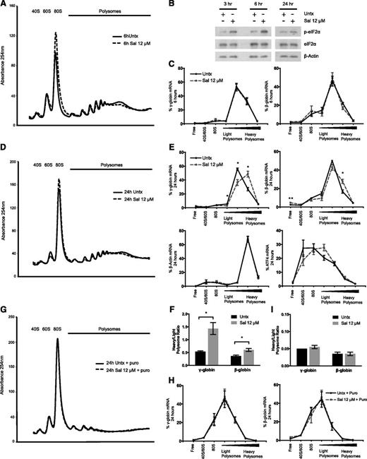 Figure 2. Sal selectively increases the translation efficiency of γ-globin mRNA. (A) Representative polysome profile on day 15 after 6 hours of 12 μM Sal treatment reveals a polysome-to-monosome shift, indicative of halted translation initiation and reduced translation. (B) Western blotting shows that p-eIF2α is increased at 3 and 6 hours after 12 μM Sal treatment on day 15 relative to an untreated control. At 24 hours after treatment, p-eIF2α levels are similar between the 2 conditions. Total eIF2α and β-actin are used as loading controls. (C) After 6 hours of treatment with 12 μM Sal, γ- and β-globin translation efficiency is unchanged relative to the untreated control. Polysome profiling fractions were pooled into 7 larger fractions containing ribosome-free 40S/60S or 80S, or polysome-bound RNA ranging from lower to higher ribosome occupancy. γ- and β-globin mRNA were quantified in each pooled fraction and normalized to an exogenous luciferase mRNA control. The percent of total mRNA for each fraction was calculated. Error bars represent ± SEM of 3 independent experiments. (D) After 24 hours of 12 μM Sal treatment, the representative polysome profile on day 16 shows a slight polysome-to-monosome shift. (E) After 24 hours, 12 μM Sal significantly increases the translation efficiency of γ- and β-globin mRNA, whereas β-actin and activating transcription factor 4 translation is not significantly changed. mRNA was quantified in each pooled fraction and normalized to an exogenous luciferase control, and the percentage of total mRNA found in each fraction was calculated. Error bars represent ± SEM of 3 independent experiments. P values were determined by using an unpaired 2-tailed Student t test. *P < .05; **P < .01. (F) At 24 hours, Sal increases translation efficiency of γ-globin to a greater extent than β-globin. Percentage of mRNA in the lightest 2 polysome fractions was compared with the percentage of mRNA in the heaviest 2 polysome fractions by using a heavy-to-light polysome ratio. Error bars represent ± SEM of 3 independent experiments. P values were determined by using an unpaired 2-tailed Student t test. *P < .05. (G) The representative polysome profile at 24 hours shows ribosome dissociation and a dramatic shift to the monosome peak when 12 μM Sal and the untreated control are incubated with 1 mM puromycin (Puro). (H) Puromycin treatment after 24 hours of 12 μM Sal shifts the percentage of γ- and β-globin mRNA to lighter polysome fractions to the same extent as in the untreated control. Error bars represent ± SEM of 2 independent experiments. (I) Puromycin reduces the heavy:light polysome ratio to the same extent in 12 μM Sal-treated and untreated cells. Error bars represent ± SEM of 2 independent experiments.
