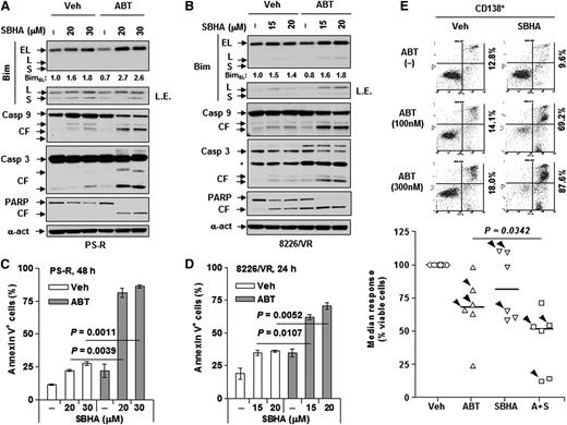 Figure 3. Upregulation of Bim by SBHA potentiates ABT-737 lethality in bortezomib-resistant MM cells. (A-D) Bortezomib-resistant PS-R or 8226/VR cells were treated with ABT-737 (PS-R, 500 nM; 8226/VR, 300 nM) with or without the indicated concentrations (μM) of SBHA for 48 hours or 24 hours, respectively. After drug treatment, immunoblotting analysis and flow cytometry were performed to determine (A,B) levels of Bim and cleavage of caspases and PARP or (C,D) percentage of apoptosis. (E) Primary CD138+ cells were isolated from a bone marrow sample from a patient with relapsed MM. Cells were then treated with the indicated concentrations of ABT-737 (nM) with or without SBHA (μM) for 24 hours, after which flow cytometry was conducted to monitor percentage of early (annexin V+/PI–) and late (annexin V+/PI+) apoptosis. Values indicate the percentage of total annexin V+ cells. Parallel experiments were performed in additional primary samples derived from newly diagnosed MM patients or relapsed patients after treatment with bortezomib (arrowhead) (n = 6; 3 each for diagnosis and R patients). P < .05 for combination treatment vs each single agent. A+S, ABT-737 + SBHA; PI, propidium iodide.