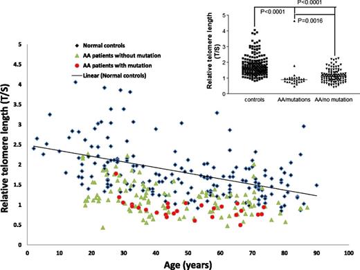Figure 1. Telomere lengths of patients in the study cohort segregated into different subgroups as compared with healthy age-matched controls. The groups are AA patients with no acquired mutations (green triangles) and AA patients with somatic mutations (red circles). The trend line for normal controls (black rhomboid) is also shown. The relative telomere lengths of normal controls and AA patients with or without somatic mutations is shown in the figure inset.