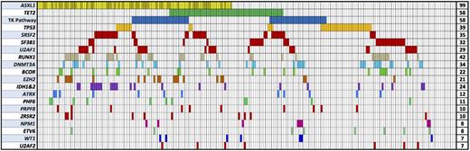 Figure 1. Spectrum of mutations in 213 patients in select MDS-associated genes. Each column represents an individual patient sample, and each colored cell represents a mutation of the gene or gene group listed to left of that row. The number of mutations for each row is indicated in the column to the right. Darker bars in the ASXL1 row indicate patients with a p.G642fs mutation. TK Pathway = NRAS, KRAS, CBL, CBLB, JAK2, PTPN11, BRAF, MPL, and KIT.