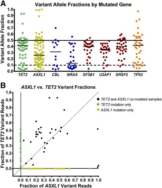 Figure 2. Variant allele frequencies in selected genes. (A) Quantitative measure of variant-containing reads estimates the abundance of these mutations (uncorrected for allele copy number). Mutations of TET2 (green), TP53 (orange), and splicing factor genes (red) are often present in the dominant clone, whereas mutations of tyrosine kinase–signaling genes (blue) are often present in smaller clones. Mutations of ASXL1 (yellow) are more widely distributed. (B) Analysis of samples with both TET2 and ASXL1 mutations indicate that ASXL1 mutations are most often codominant with, or smaller than, TET2-mutant clones.