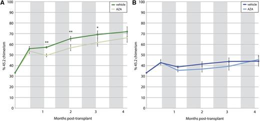 Figure 3. Peripheral blood chimerism. Shown over time after competitive bone marrow transplantation with cells from 45.2 Tet2-null mice (A) and 45.2 Tet2-WT mice (B). Gray bars indicate periods of treatment with AZA or vehicle. Tet2-null cells show increased chimerism compared with Tet2-WT cells. Treatment with AZA significantly decreases chimerism in the Tet2-null recipient mice only. *P < .05, **P < .01.