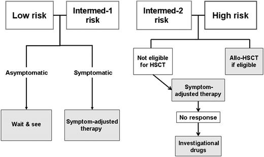 Figure 3. Treatment algorithm for patients with MF.