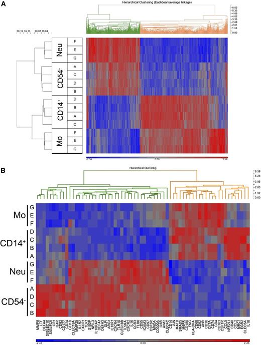 Figure 5. Transcriptional profiling of neutrophil-derived CD14+ monocytic cells. FACS-sorted CD15+CD54– neutrophils from G-CSF–mobilized blood were stimulated with GM-CSF (10 ng/mL)/TNFα (25 ng/mL)/IL-1β (10 ng/mL) for 5 days; subsequently, CD14+ cells were FACS-sorted (donors A-D). In addition, normal blood monocytes and neutrophils (donors G-F) were FACS-sorted from PB. RNA from CD15+CD54– neutrophils (day 0; starting population; CD54–), CD14+ monocytic cells (day 5; CD14+), monocytes (day 0; Mo), and neutrophils (day 0; Neu) were isolated and processed for hybridization on GeneChip Human 2.0 ST arrays (Affymetrix, Santa Clara, CA). (A) Hierarchical clustering (euclidean dissimilarity/average linkage; standard normalization) of differential expressed genes (P < .005) is shown. (B) Heat map and hierarchical clustering of 75 granulocyte- and monocyte-associated genes showing gene expression levels from low (blue) to high (red).