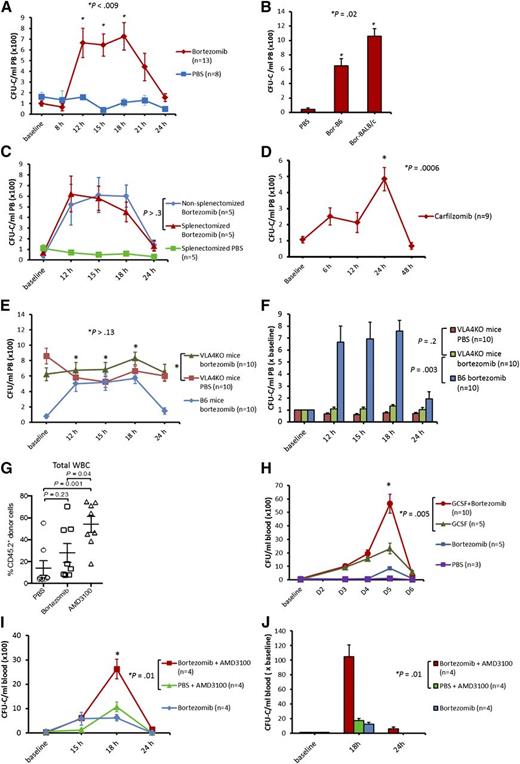 Figure 1. Mobilization of HSPCs by bortezomib alone or in combination with G-CSF and AMD3100 in mice. Mice were analyzed for PB CFU-Cs at various time points. (A) B6 mice were treated with bortezomib (0.8 mg/kg, intravenously) or phosphate-buffered saline (PBS). Mice were analyzed for PB CFU-Cs at baseline, 8 hours, 12 hours, 15 hours, 18 hours, 21 hours, and 24 hours (combination of 3 experiments; 3 mice in first experiment, 5 mice each in subsequent experiments). (B) Bortezomib (0.8 mg/kg IV) in B6 (Bor-B6), bortezomib (0.8 mg/kg IV) in BALB/c (Bor-BALB/c), and PBS in B6 and BALB/c (PBS). Mice were analyzed for PB CFU-Cs 15 hours after administration of PBS or bortezomib. Bor-BALB/c resulted in higher CFU-C mobilization compared with Bor-B6. (C) Splenectomized and nonsplenectomized (wild-type) B6 mice receiving bortezomib (0.8 mg/kg IV) at baseline. Splenectomized B6 mice that received PBS at baseline were used as a control. (D) Carfilzomib (5 mg/kg IV) was given to B6 mice at baseline and PB CFU-Cs were analyzed at various time points (combination of 2 experiments; 4 mice per arm in first experiment, 5 mice per arm in the second experiment). (E-F) Bortezomib (0.8 mg/kg IV) was given to VLA-4KO and wild-type B6 mice. VLA-4KO mice receiving PBS at baseline were used as control (combination of 2 experiments; 5 mice in each arm per experiment). (G) Competitive repopulation assay. Lethally irradiated CD45.1+ mice received transplants of 2 × 105 congenic CD45.1+/CD45.2+ bone marrow competitor cells plus PBMCs (1.5-3 mL PB) from CD45.2+ mice mobilized with bortezomib, PBS, or AMD3100. PB was harvested 15 hours after injection for bortezomib and PBS, and 3 hours after injection for AMD3100. The contribution of mobilized cell populations to hematopoiesis was determined by flow cytometry for CD45.2+ donor cells 2 months after transplant (combination of 2 experiments; 4 mice in each arm per experiment). (H) Bortezomib (0.8 mg/kg IV) in combination with G-CSF (250 µg/kg, subcutaneously). The G-CSF + bortezomib group received G-CSF on days 1 (baseline), 2, 3, and 4, and bortezomib on day 4. The G-CSF control group received G-CSF on days 1 (baseline), 2, 3, and 4. The bortezomib and PBS control groups received bortezomib (0.8 mg/kg IV) and PBS, respectively, on day 4. Mean PB CFU-C in G-CSF + bortezomib vs G-CSF alone: 5600/mL vs 2300/mL, respectively (P = .005). (I-J) The bortezomib + AMD3100 group received bortezomib (0.8 mg/kg IV) at baseline and AMD3100 (5 mg/kg subcutaneously) 15 hours later. The PBS + AMD3100 group received PBS at baseline followed by AMD3100 15 hours later. The bortezomib control group received bortezomib at baseline. Mice were analyzed for PB CFU-Cs at baseline, 15 hours, 18 hours, and 24 hours. Mean PB CFU-C in bortezomib + AMD3100 vs PBS + AMD3100 at 18 hours: 2600/mL vs 1100/mL, respectively (P = .01). Fold increase in CFU-C over baseline in bortezomib + AMD3100 group vs PBS + AMD3100 group: 105 ± 16 vs 17 ± 3, respectively (P = .01). Data are mean ± standard error.
