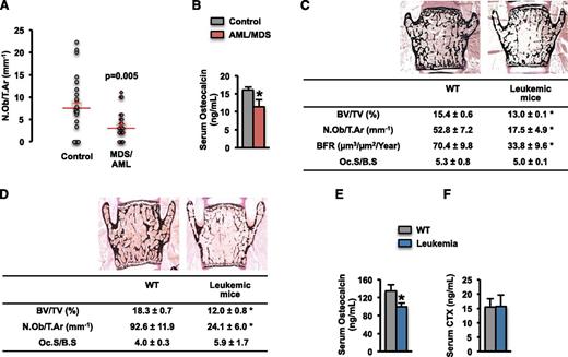 Figure 1. Acute leukemia decreases osteoblast numbers and function in humans and in mice. (A) Osteoblast number per trabecular bone area (N.Ob/T.Ar) in bone biopsies of 21 male subjects with AML or MDS, and 21 sex- and age-matched healthy controls. (B) Serum osteocalcin levels in a subset of 9 AML/MDS untreated subjects and 9 matched controls. (C-F) Representative vertebral section images from 2-month-old immunocompetent BALB/c or albino C57BL/6 mice injected with the myeloid-monocytic WEHI-3B (n = 8-10 mice per group) (C) or the lymphoblastic EL4 (n = 5-7 mice per group) (D) leukemia cells, respectively. Mineralized bone matrix is stained in black by Von Kossa reagent. Images at ×50. Serum levels of osteocalcin (E) and cross-linked C-telopeptide (CTX) (F) in WT animals and leukemic mice injected with WEHI-3B cells (n = 8-10 mice per group). *P < .05 vs normal control or WT mice. BFR, bone formation rate; BV/TV, bone volume per trabecular volume; N.Ob/T.Ar, number of osteoblasts per trabecular area; Oc.S./B.S., osteoclast surface per bone surface.
